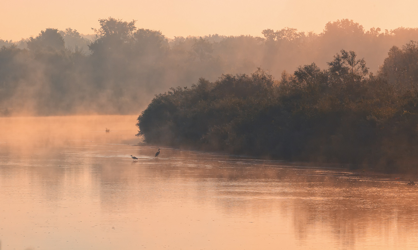 photo "***" tags: landscape, morning, Сура, журавли