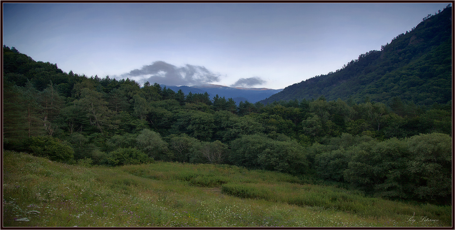 photo "***" tags: landscape, forest, summer, горы...