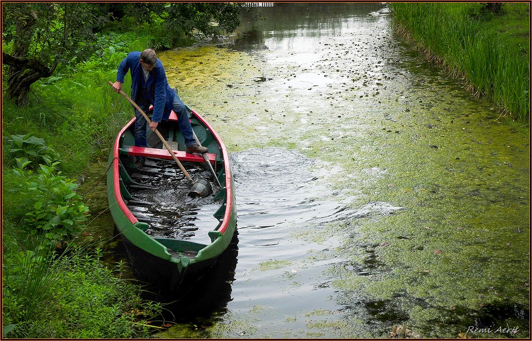 фото "Help, I'm drowning!!" метки: пейзаж, природа, репортаж, 