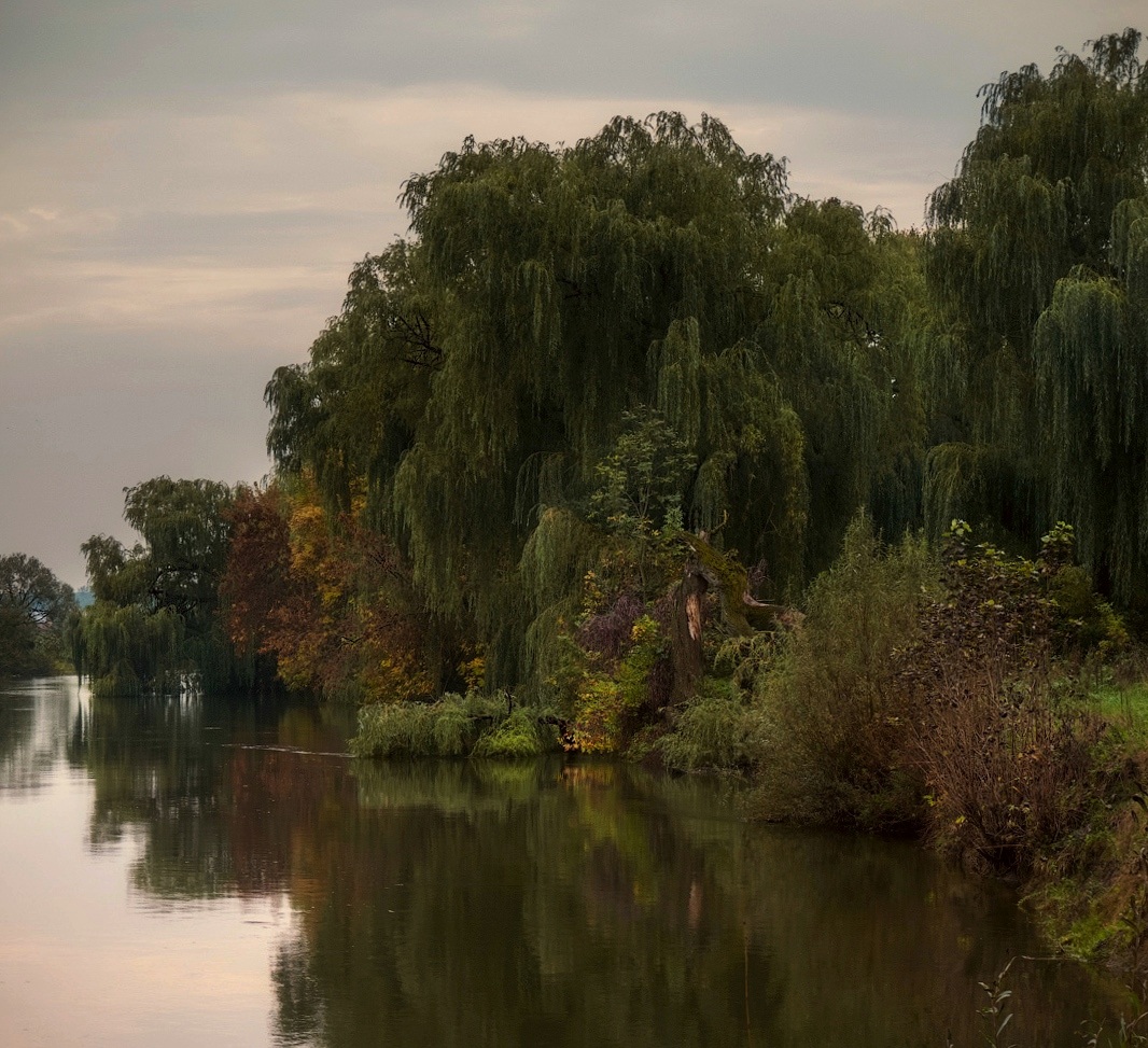 фото "Осенним вечером..." метки: панорама, пейзаж, природа, листва, осень, парк, река