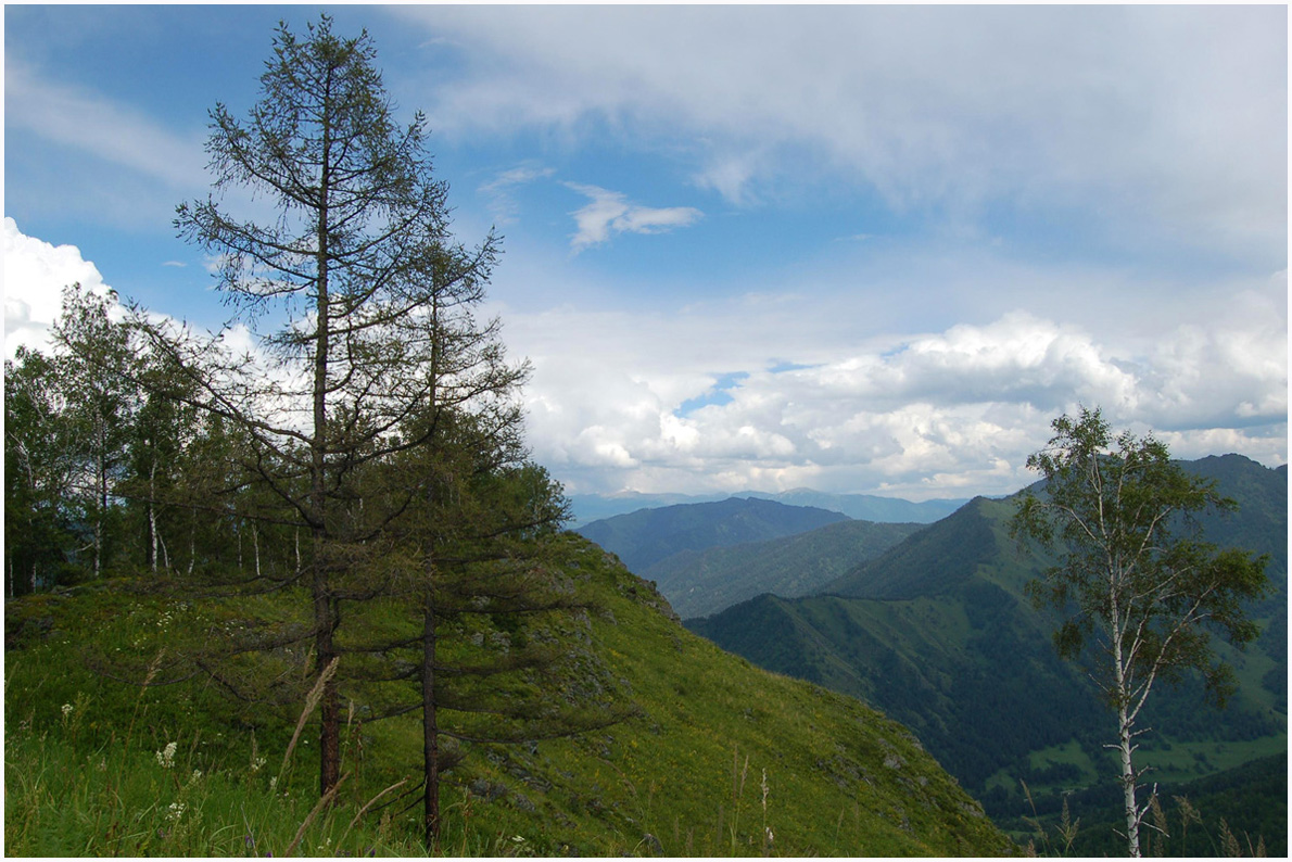 photo "***" tags: landscape, clouds, forest, mountains, summer