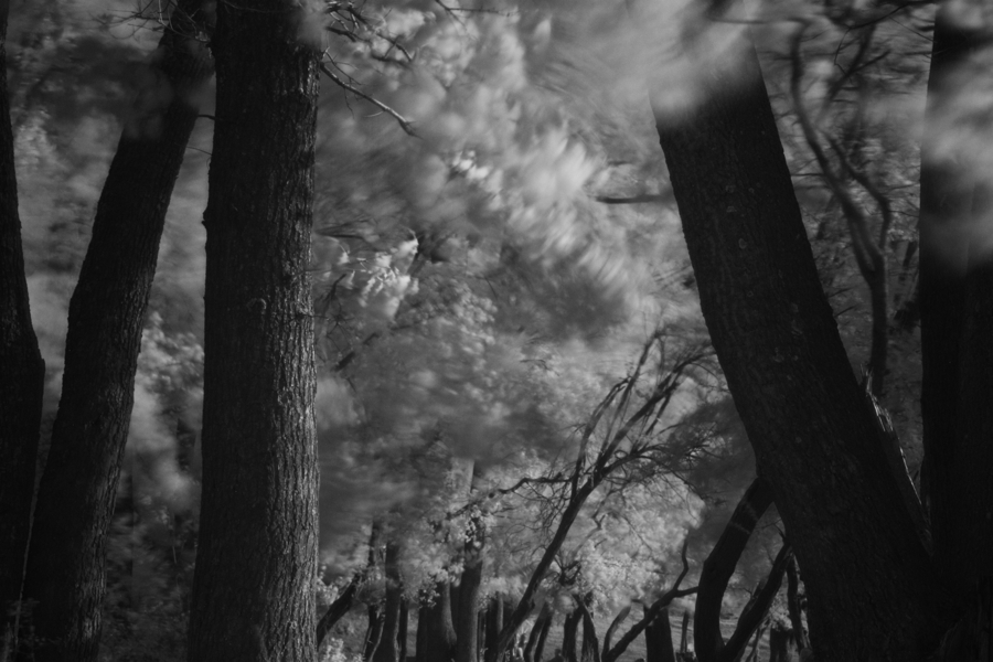photo "Anger" tags: nature, black&white, landscape, 