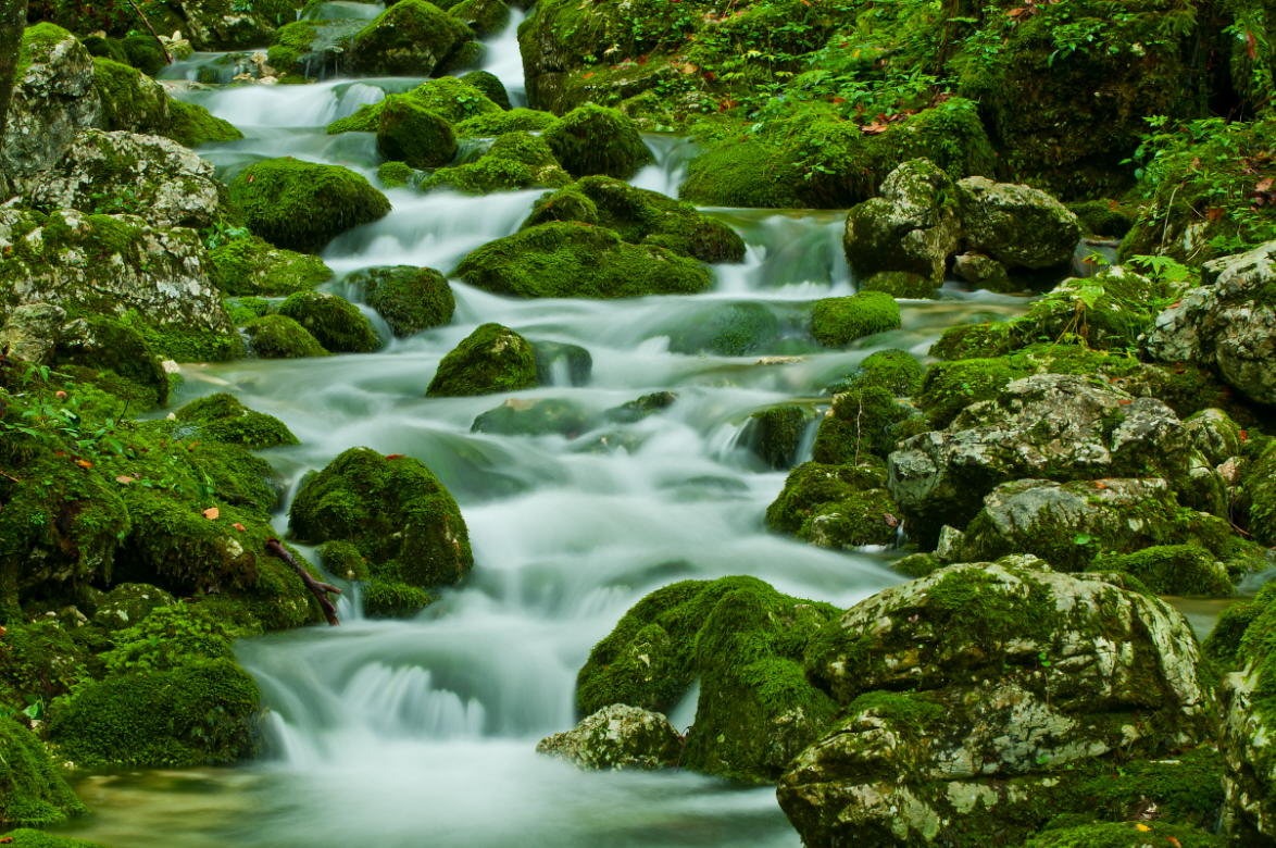 фото "Na Triglav" метки: пейзаж, forest, вода, горы