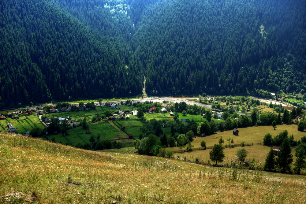 photo "Love Lunca Neamt" tags: nature, landscape, Europe, mountains, summer