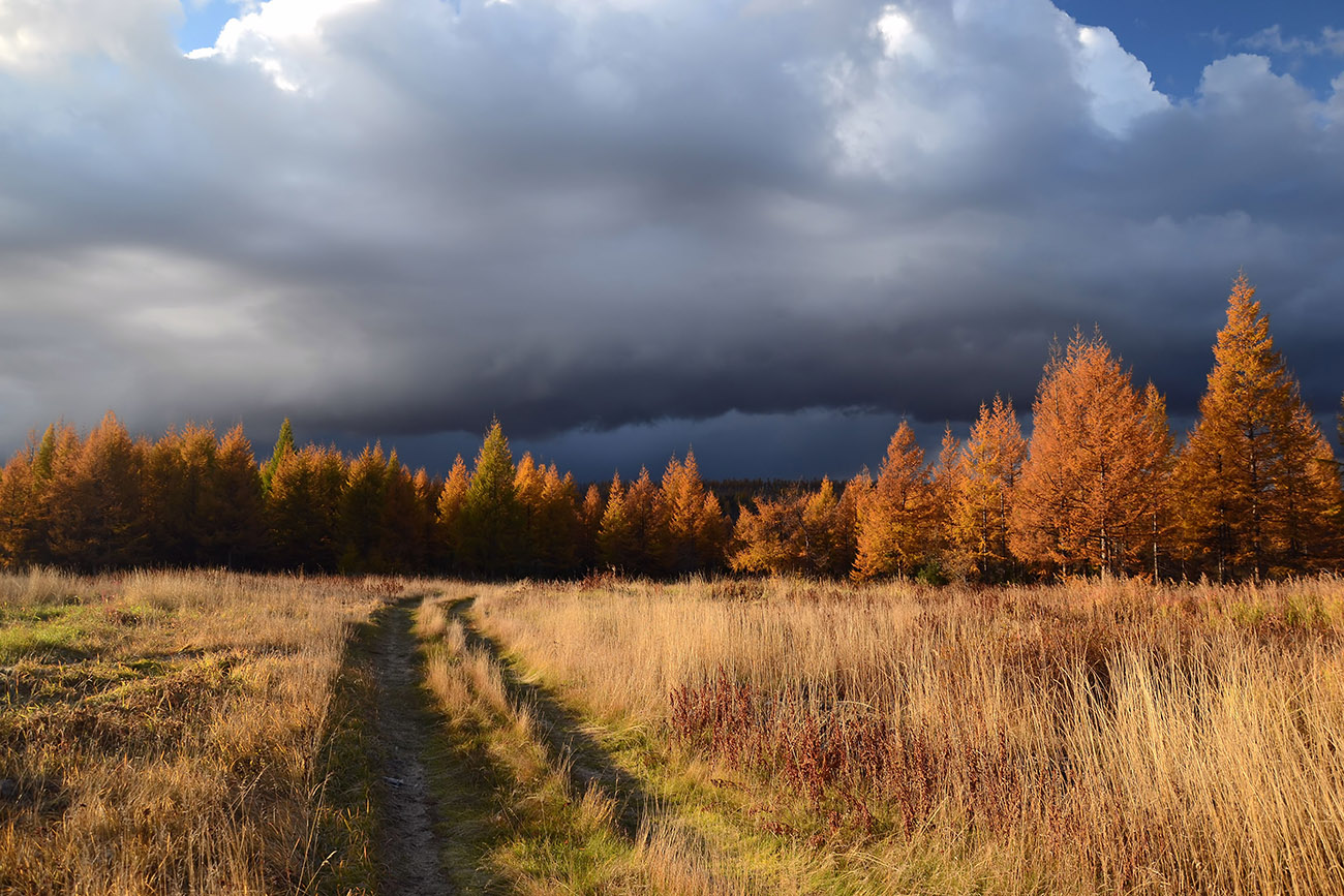 фото "Осенними дорожками" метки: пейзаж, дорога, лес, небо, осень