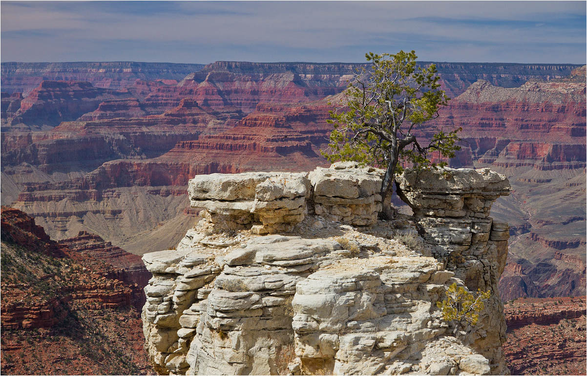 photo "Two trees near one river.." tags: landscape, 