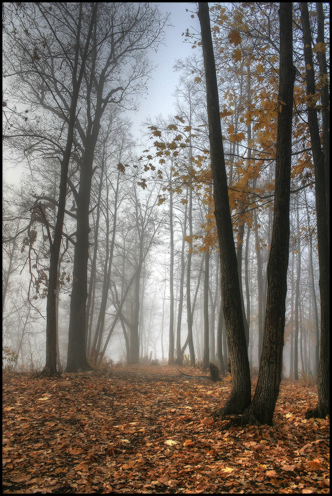 фото "Осень..." метки: пейзаж, 