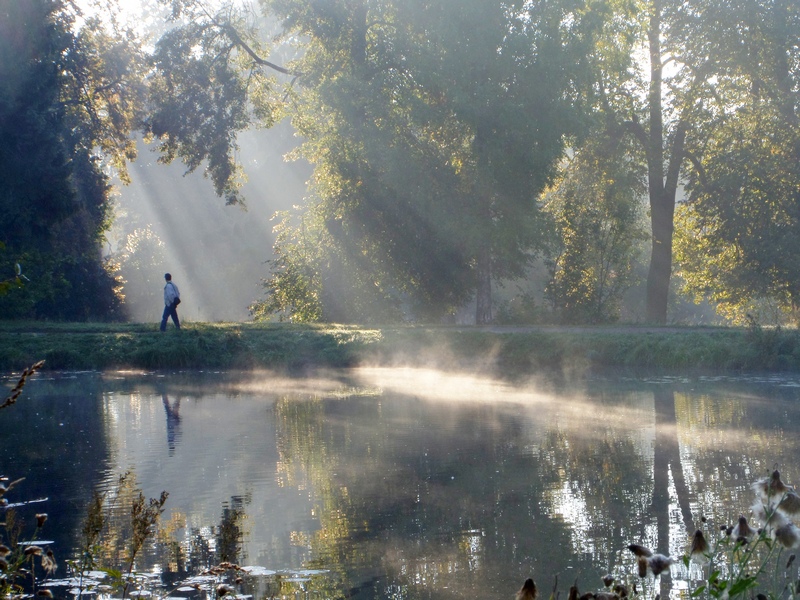 фото "Утро в Шуваловском парке" метки: пейзаж, 