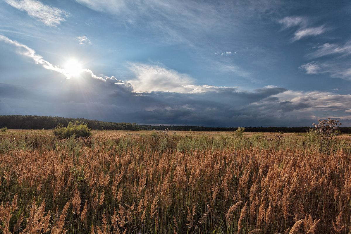 photo "***" tags: nature, clouds, summer