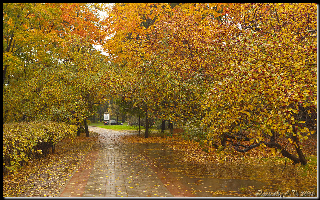 фото "Золотая осень" метки: природа, пейзаж, разное, Европа, осень