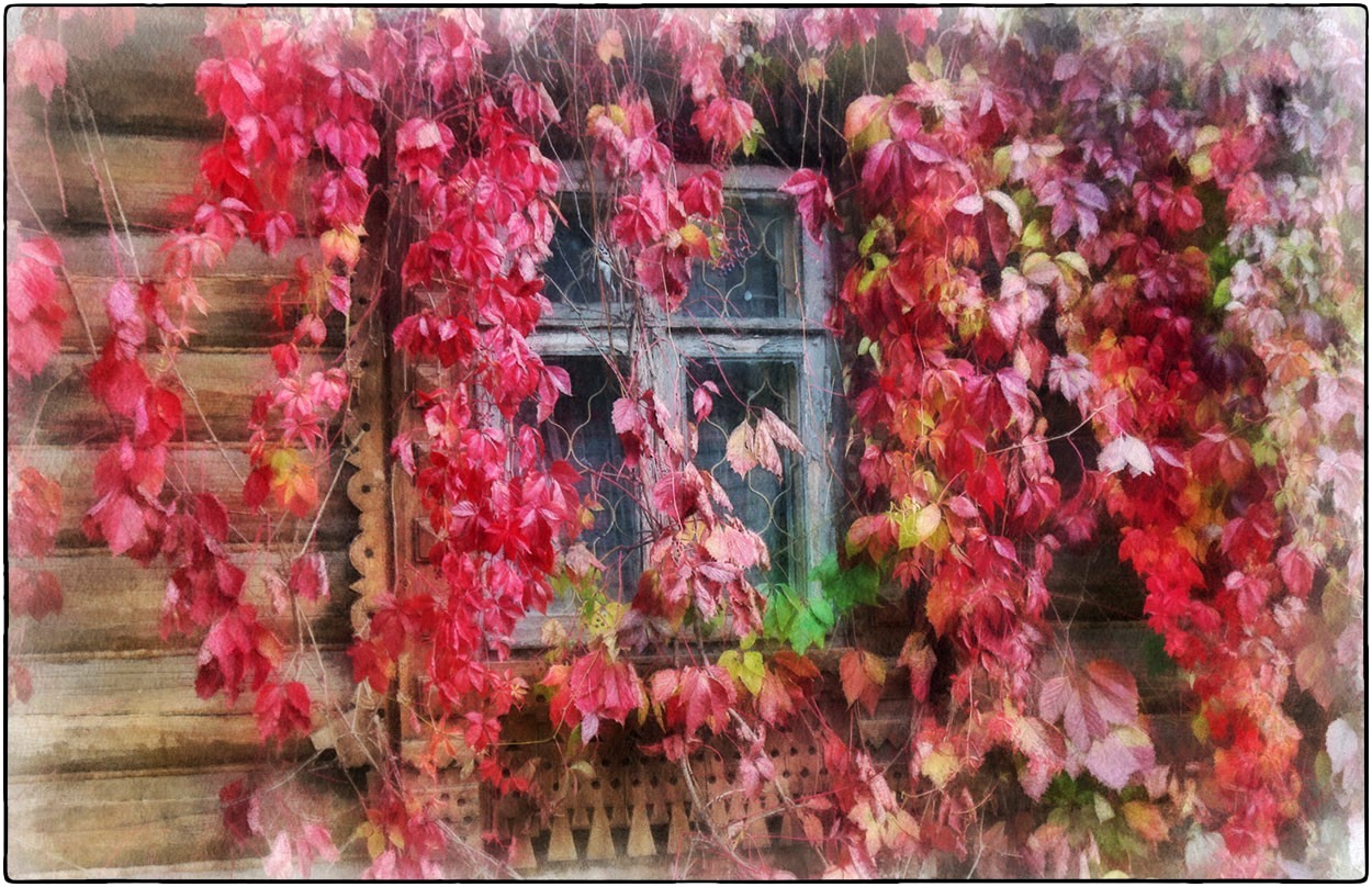 photo "Autumn at the window" tags: nature, digital art, 