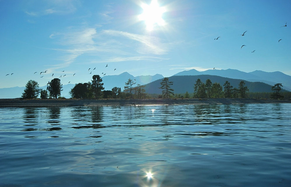 photo "***" tags: landscape, lake, september, sky, sun, water, Байкал, Северный Байкал, чайки