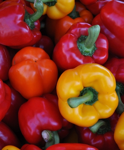 photo "PIMENTOS" tags: nature, 