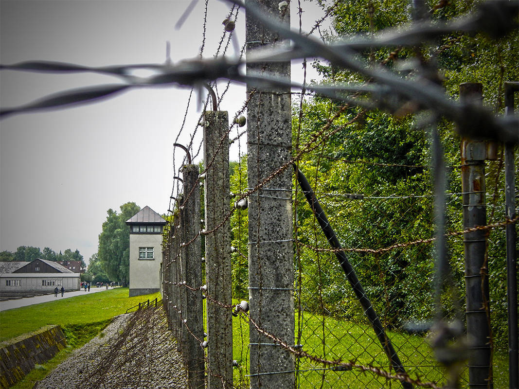 photo "Fences of hawthorns and electrical fence in Dachau" tags: architecture, 