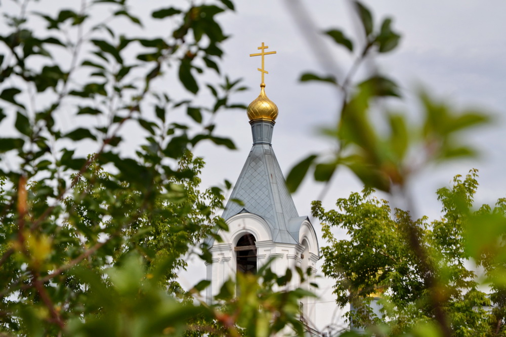 фото "храм и ветки" метки: пейзаж, город, 