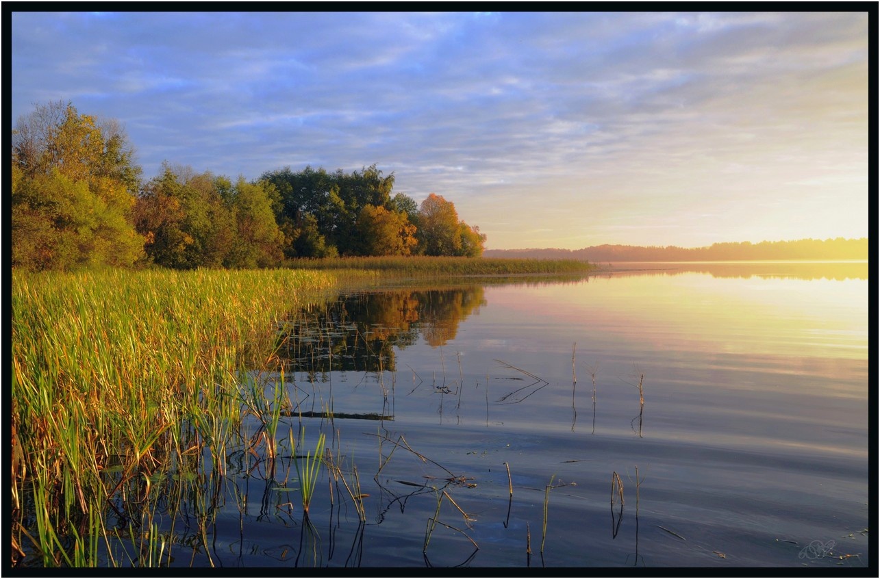 фото "Сентябрьское утро" метки: пейзаж, путешествия, портрет, Вологодчина, Восход, озеро, осень, утро