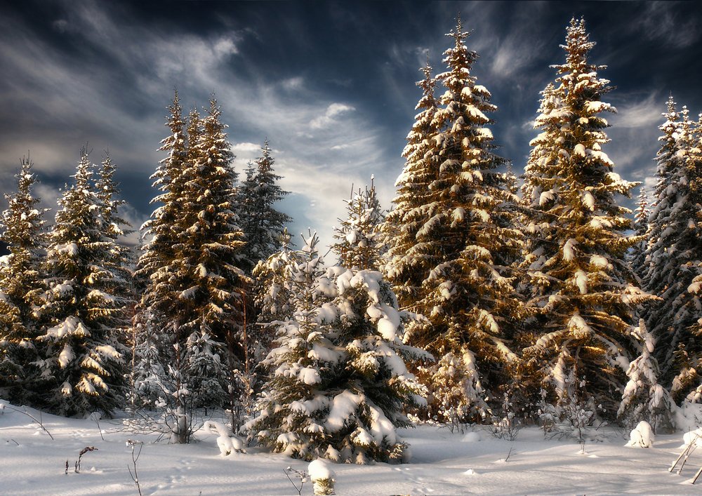 фото "на севере диком" метки: пейзаж, природа, путешествия, зима, лес, облака