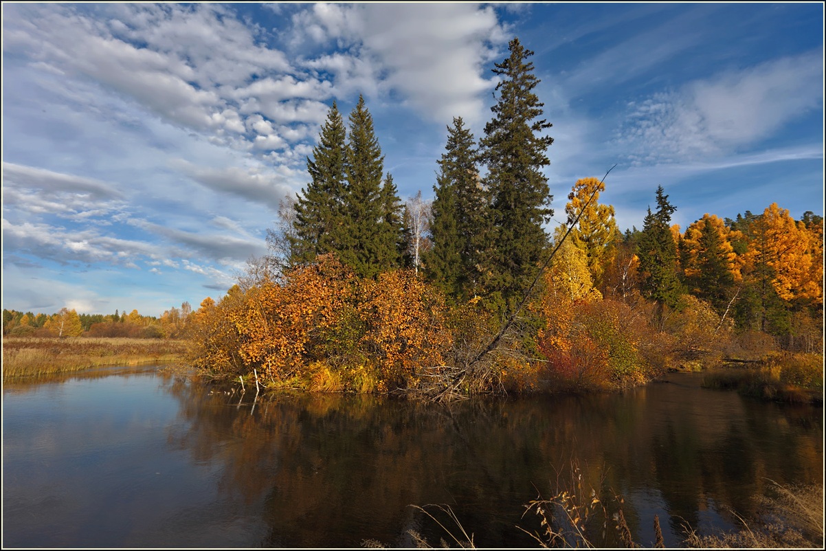 фото "Золотая осень....первый погожий осенний денек" метки: пейзаж, 