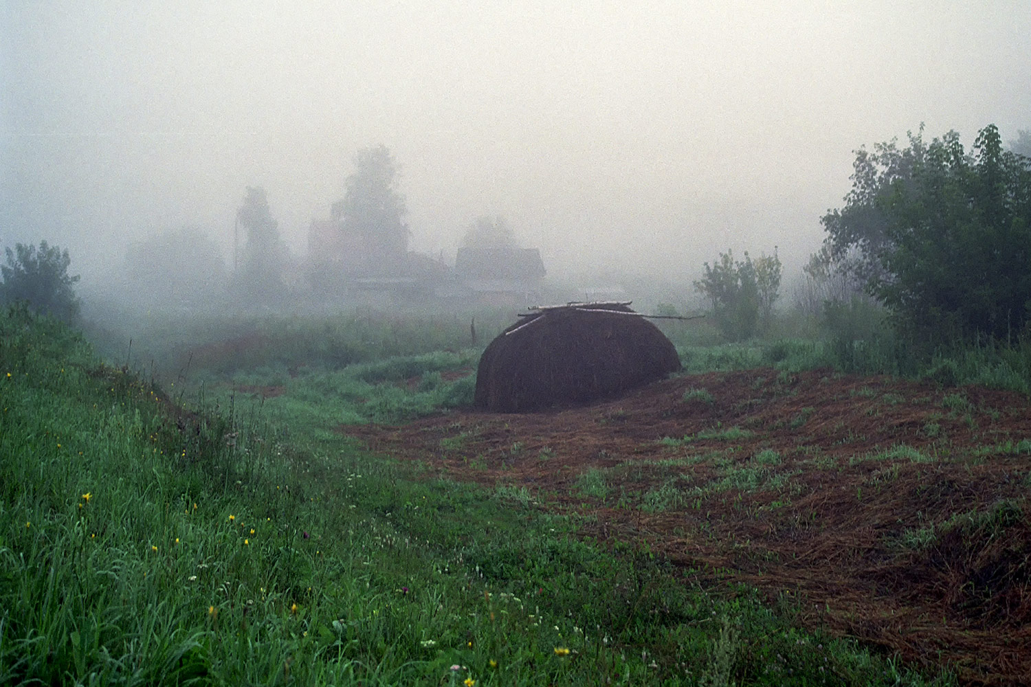 photo "Autumn morning" tags: landscape, film, пленка