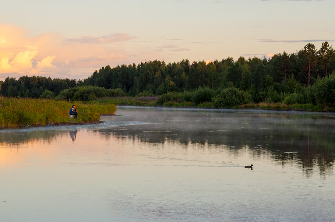 photo "***" tags: landscape, nature, 