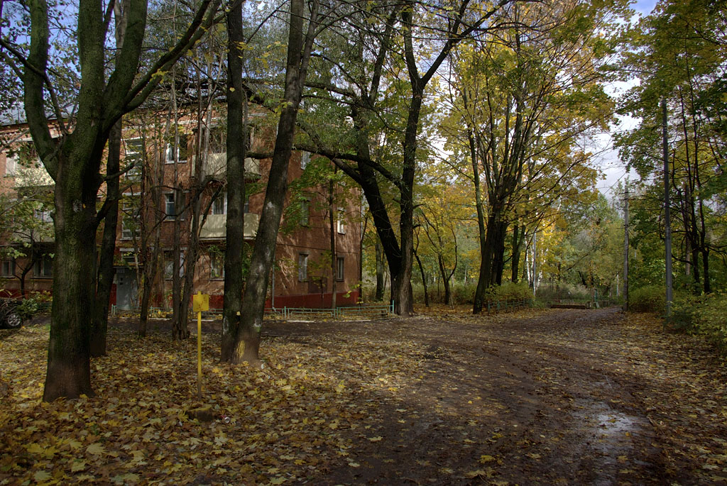 фото "Осень в городе." метки: город, пейзаж, 