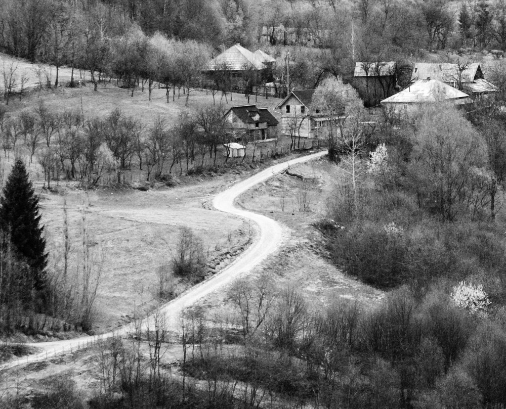 photo "S" tags: landscape, black&white, travel, Rural, Rustic, countrified, countryside, forest, hill, house, old, road, route, trees, village, way, wood