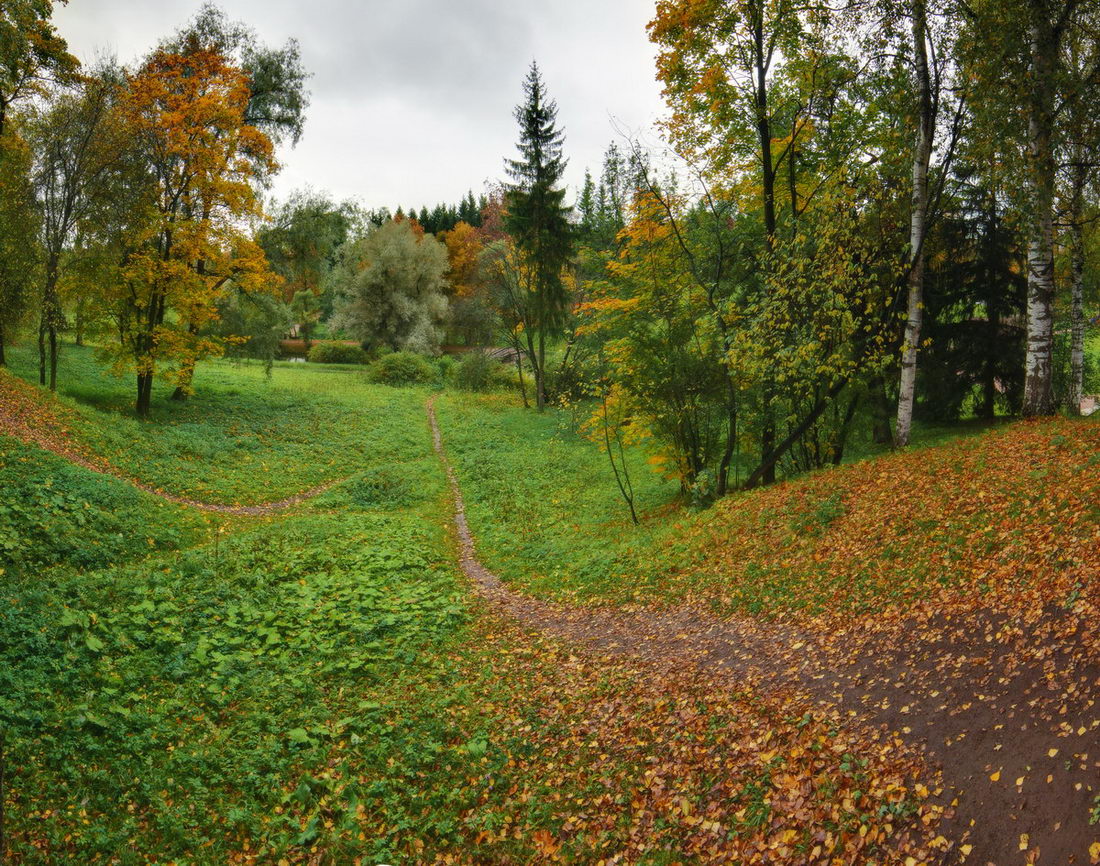 photo "***" tags: landscape, panoramic, autumn, forest, park, Ленинградская область, Павловск