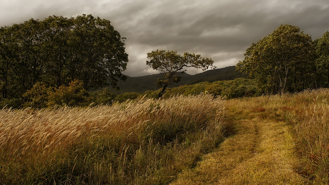 photo "***" tags: landscape, autumn, Дальний Восток, Приморье