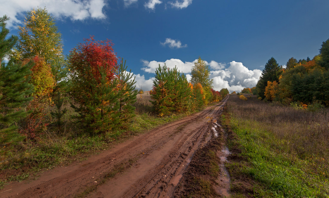 photo "***" tags: landscape, autumn, clouds, forest, road, деревья, колея, краски