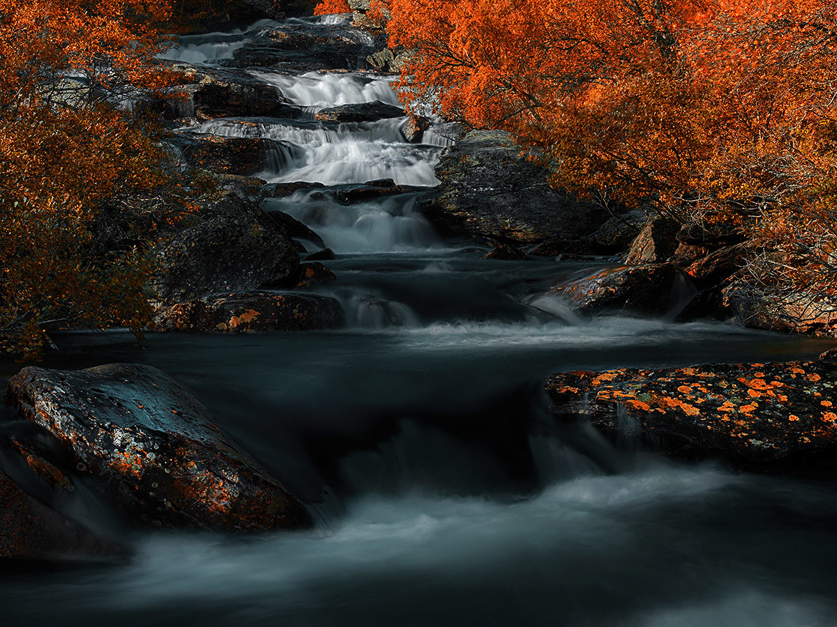 photo "Autumn by the river" tags: landscape, Europe, Norway, autumn, forest, mountains, sunset, water