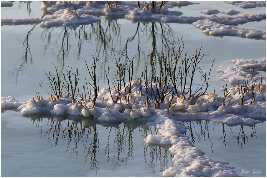 photo "Sprouts from salt" tags: nature, 