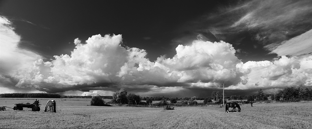 photo "***" tags: black&white, autumn