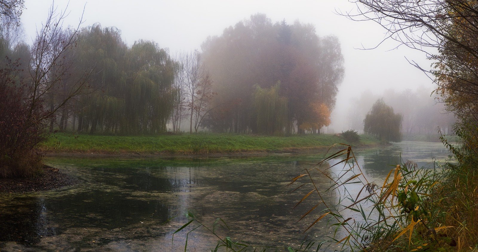 photo "***" tags: landscape, nature, panoramic, autumn, fog, park