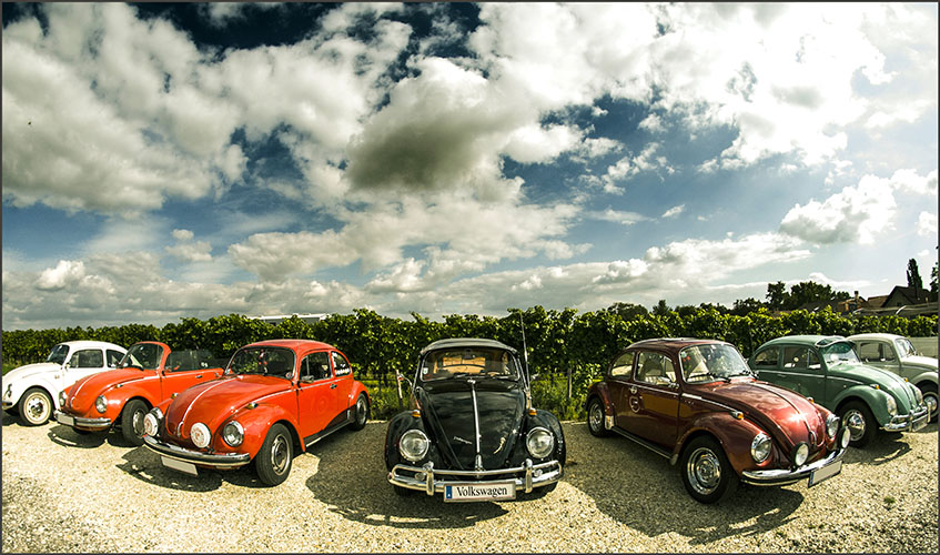 photo "Volkswagen 2013" tags: genre, old-time, misc., 