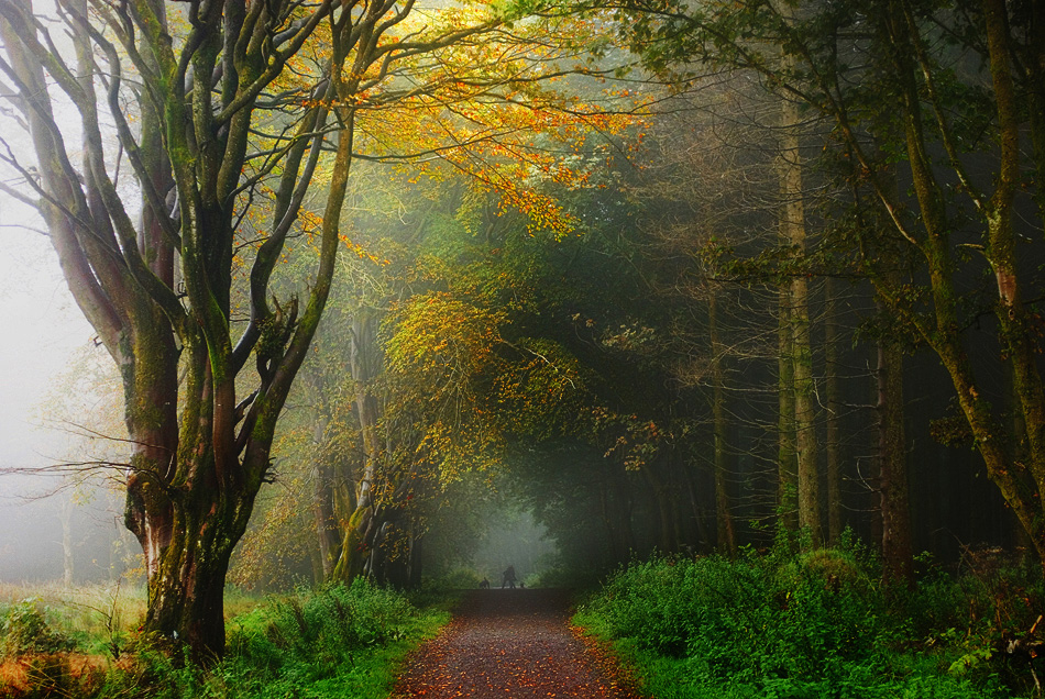 photo "Morning Dog Walkers" tags: landscape, 