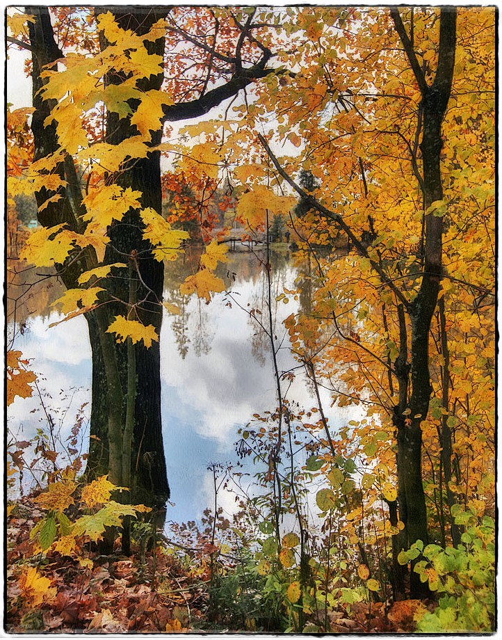 фото "золотая осень" метки: пейзаж, природа, 