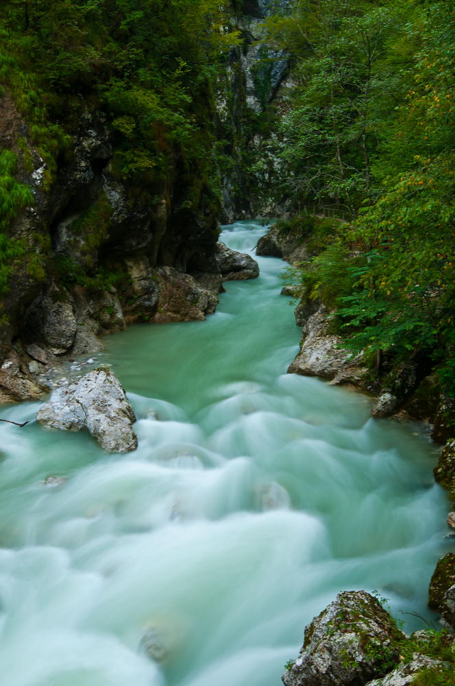 фото "Tolminka" метки: пейзаж, Europe, Slovenija, forest, вода, горы