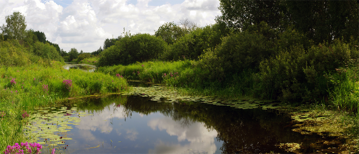 photo "***" tags: landscape, nature, forest, water