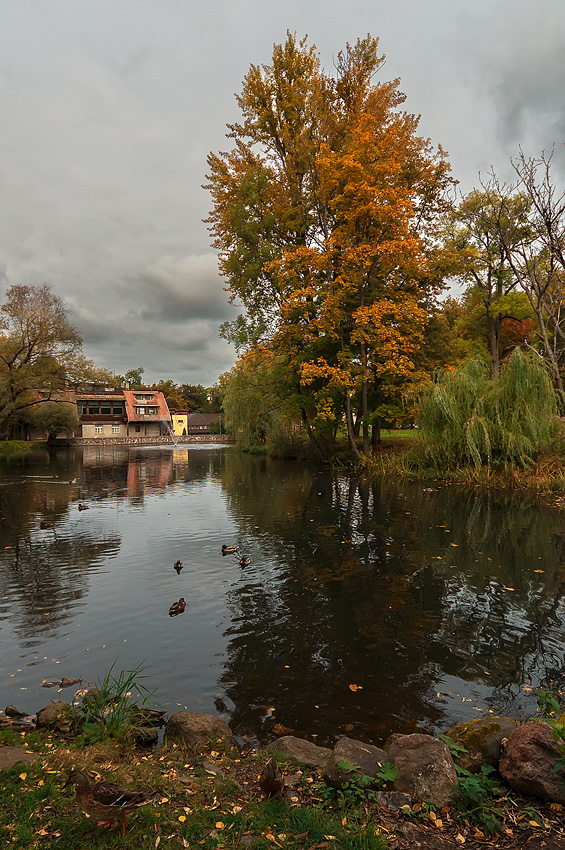 photo "***" tags: landscape, autumn, reflections, sky, water, деревья