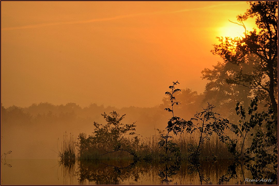 фото "***" метки: пейзаж, природа, fog, summer, рассвет