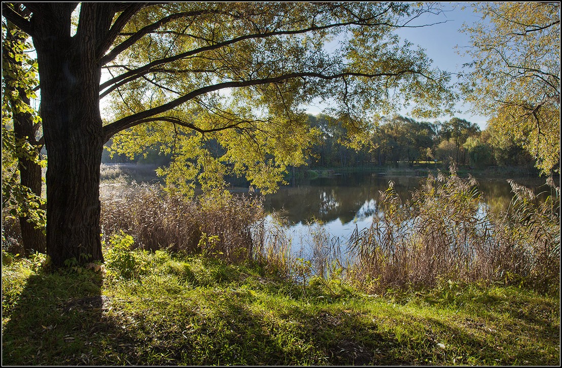 photo "autumn" tags: landscape, nature, misc., 