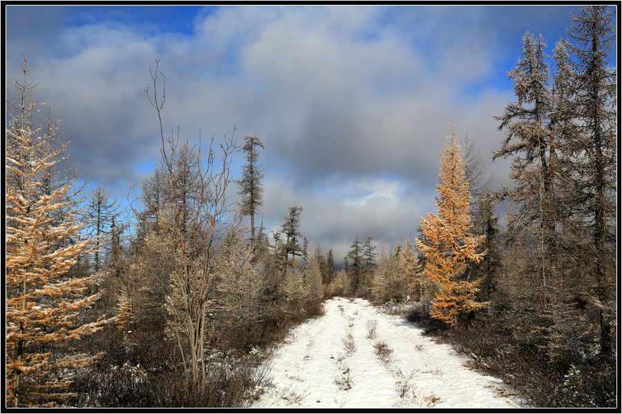 photo "***" tags: landscape, road, taiga, winter