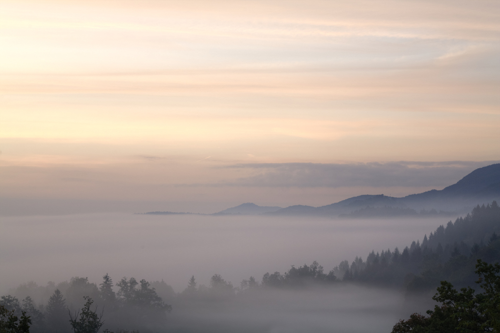 фото "Fog" метки: пейзаж, 