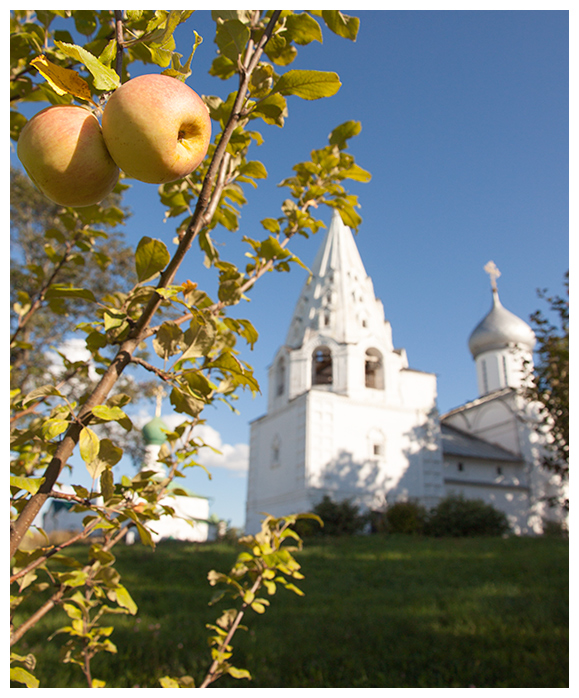 фото "Райские яблочки" метки: путешествия, природа, Переславль-Залесский, лето, монастырь, путешествие
