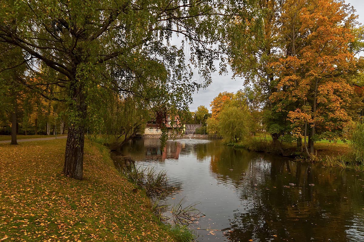 photo "***" tags: landscape, autumn, reflections, water, деревья