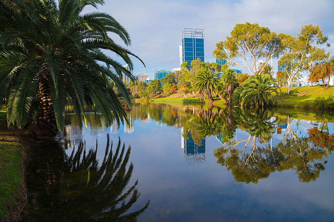 photo "City reflections_3" tags: landscape, nature, city, australian flora, blue, city, clouds, evening, lake, nature, reflection, sky, trees, tropics, view, water