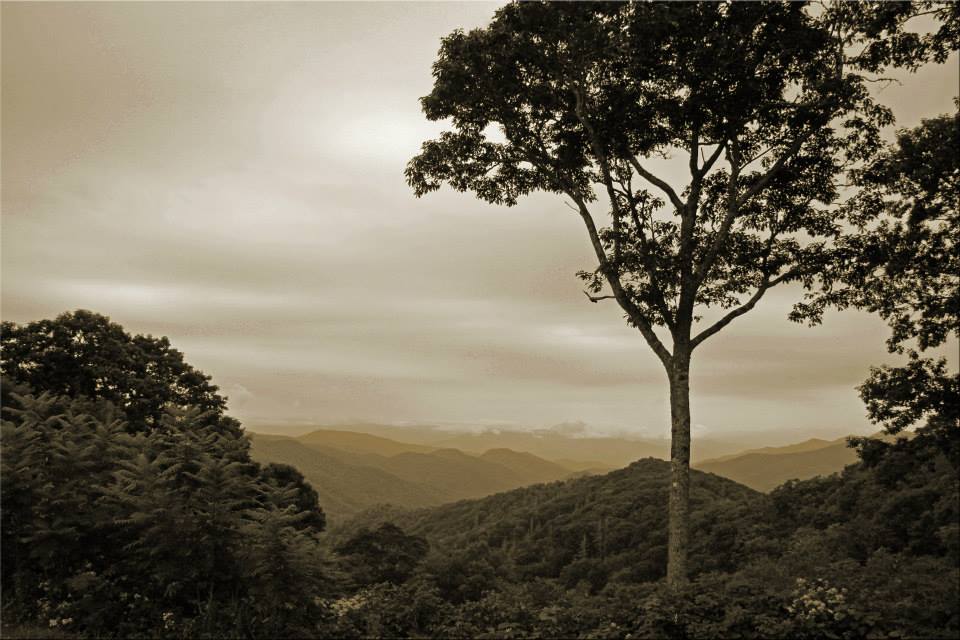 фото "Smoky Mountains" метки: пейзаж, путешествия, природа, 