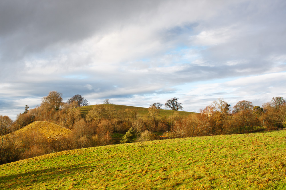 photo "***" tags: landscape, field