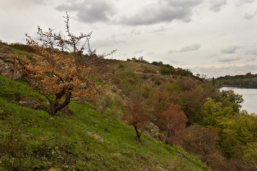 photo "***" tags: landscape, Dnieper, Ukraine, clouds, coast, sky, tree, Запорожье