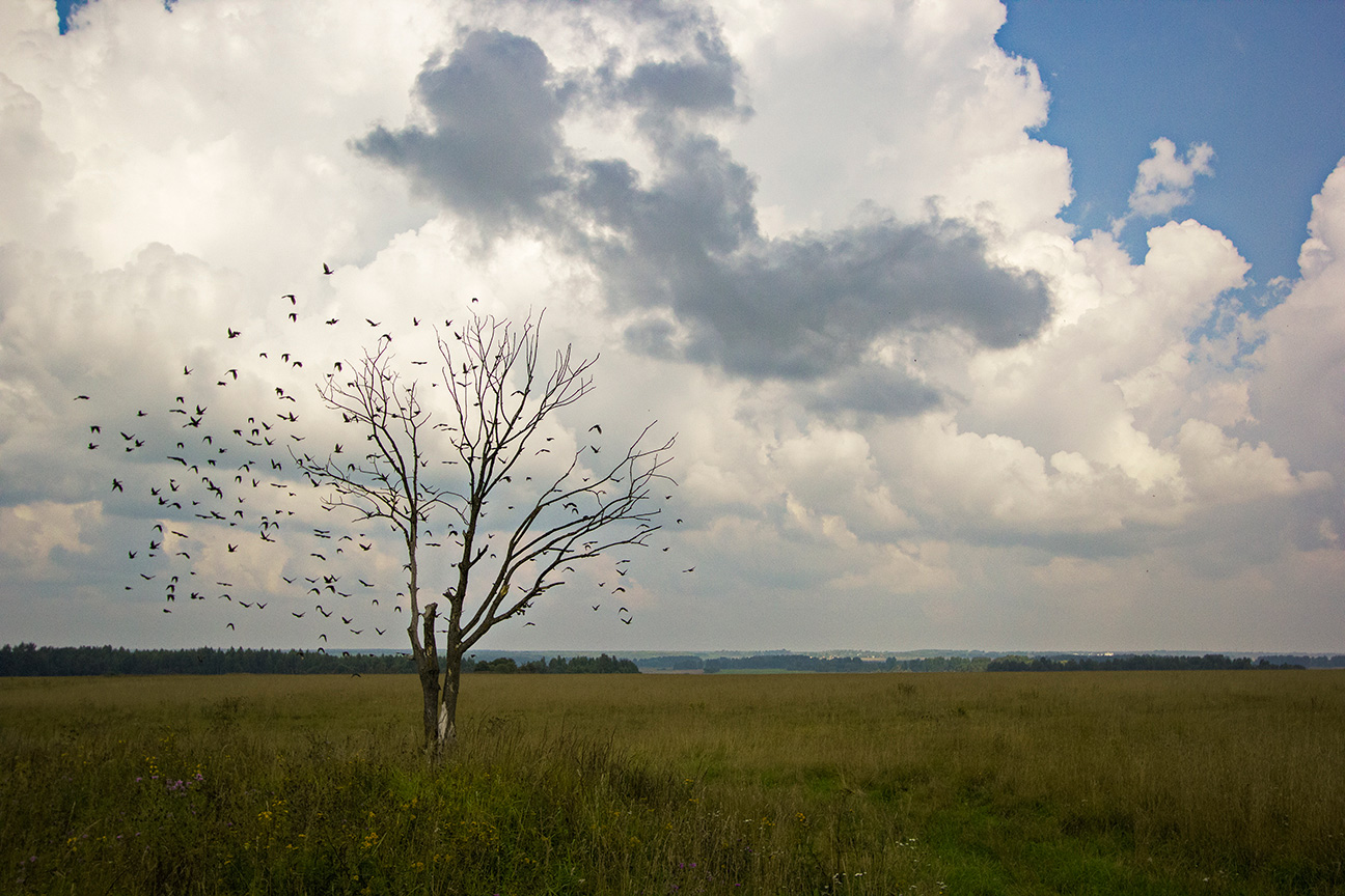 photo "***" tags: landscape, travel, nature, 